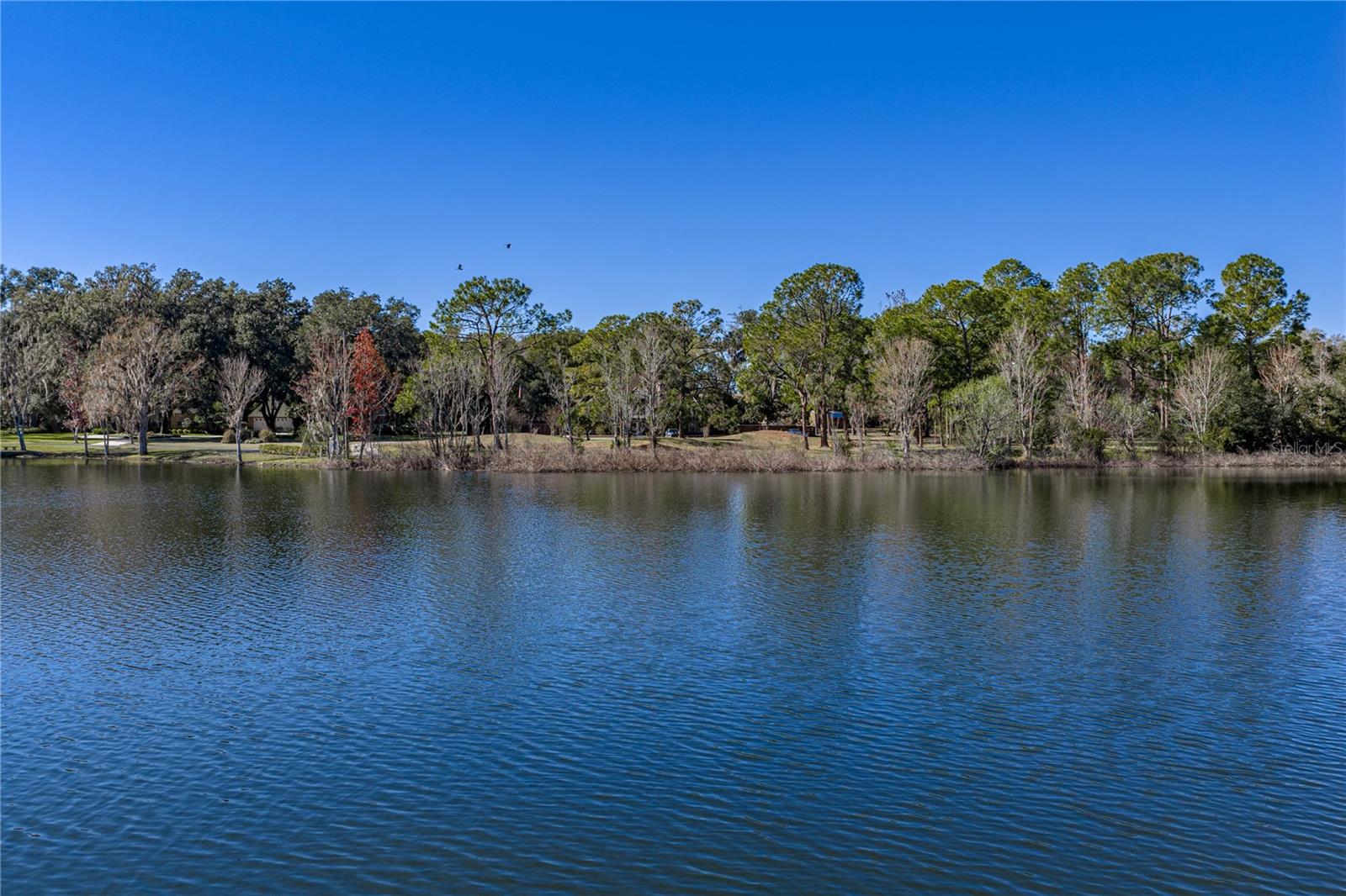 POR SE1/4 SE1/4 & POR LTS 04 & 08 - Residential