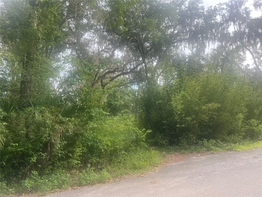 Photo of NE 32nd Street, Silver Springs, FL 34488 (MLS # G5113869)