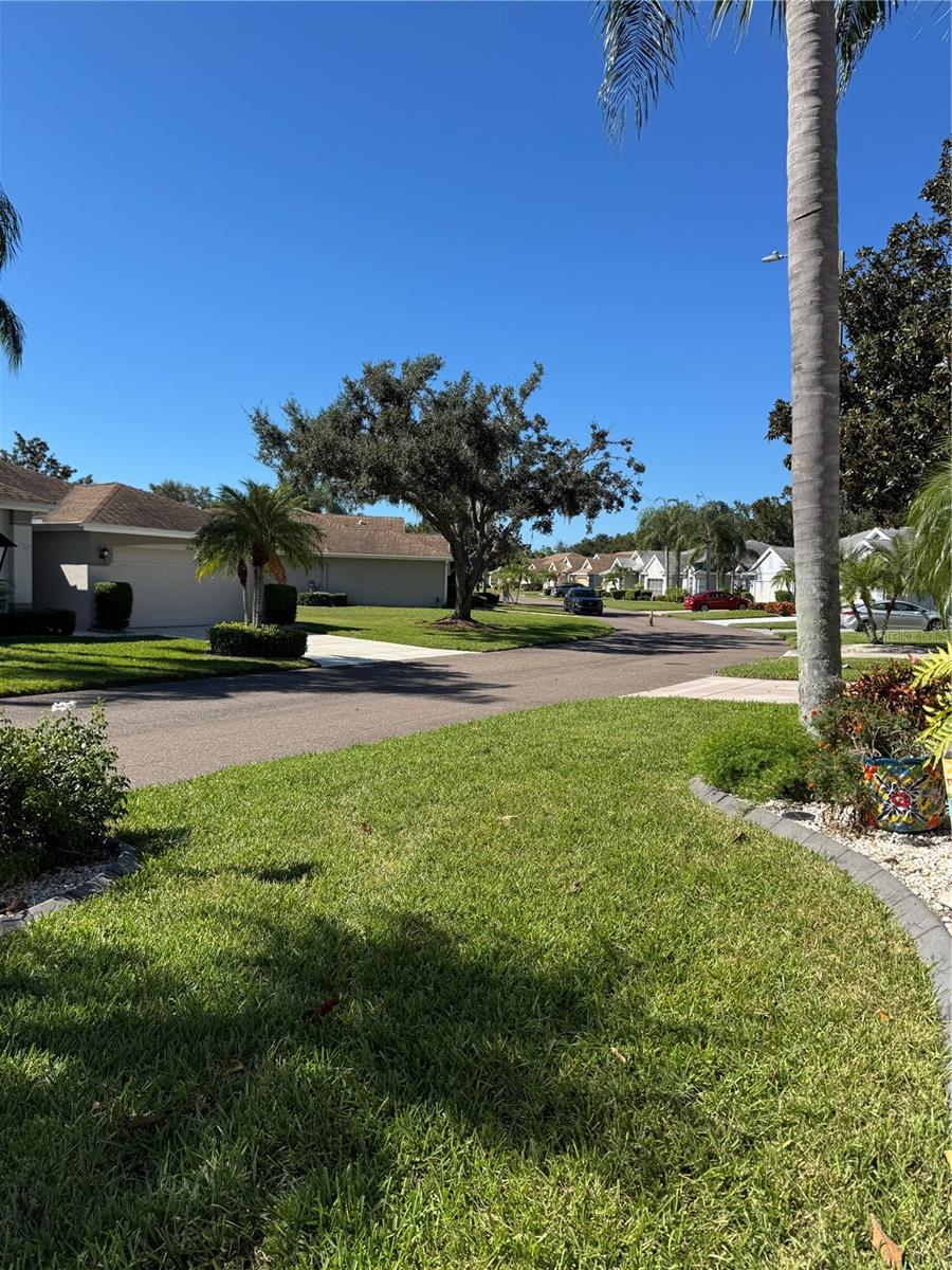 2305 OLIVE BRANCH DRIVE