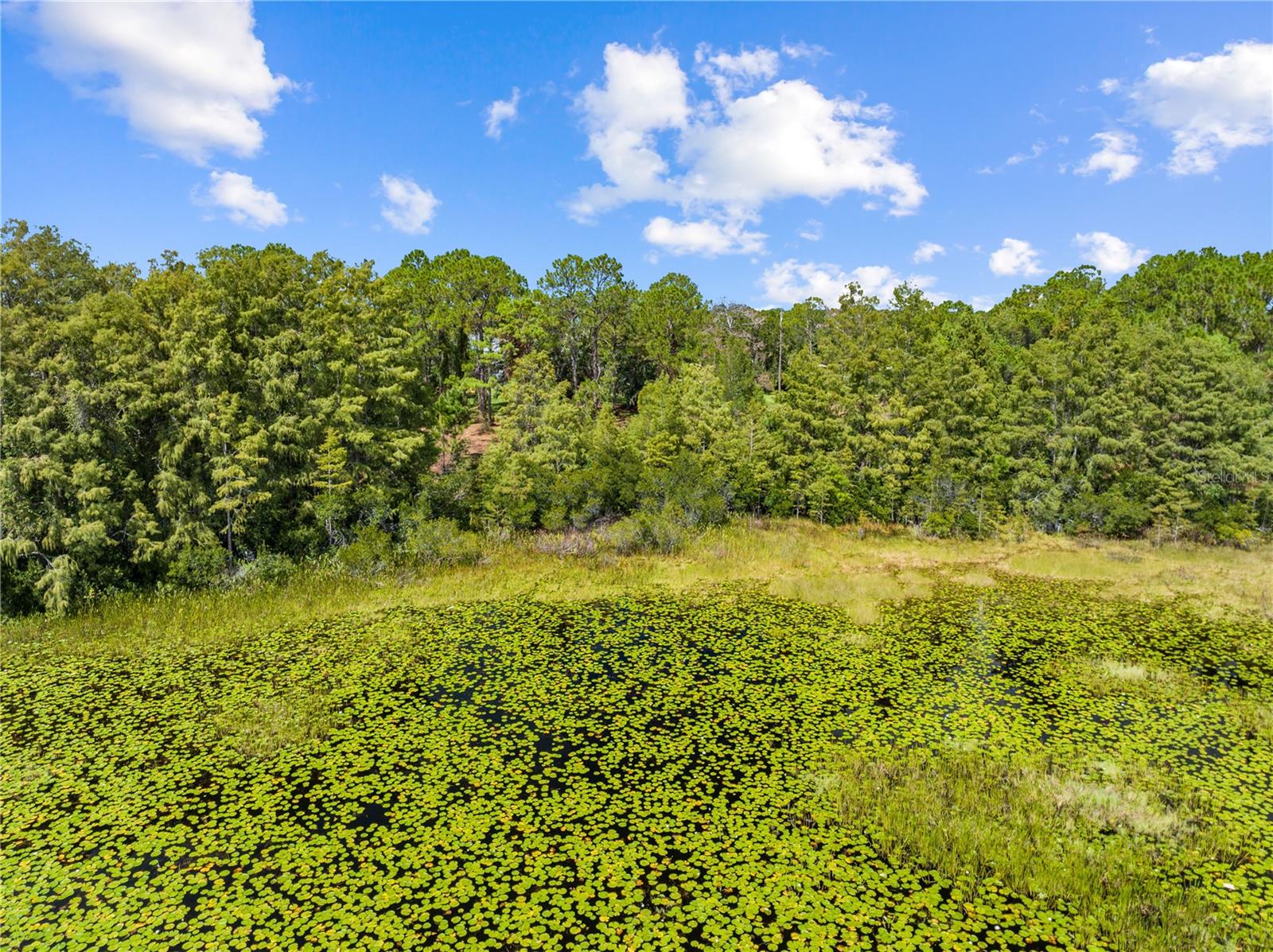 ACREAGE & UNREC - Residential
