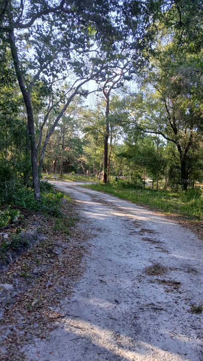 KAL RIVER FOREST - Land