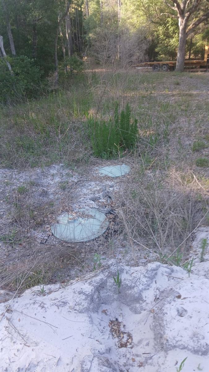 KAL RIVER FOREST - Land