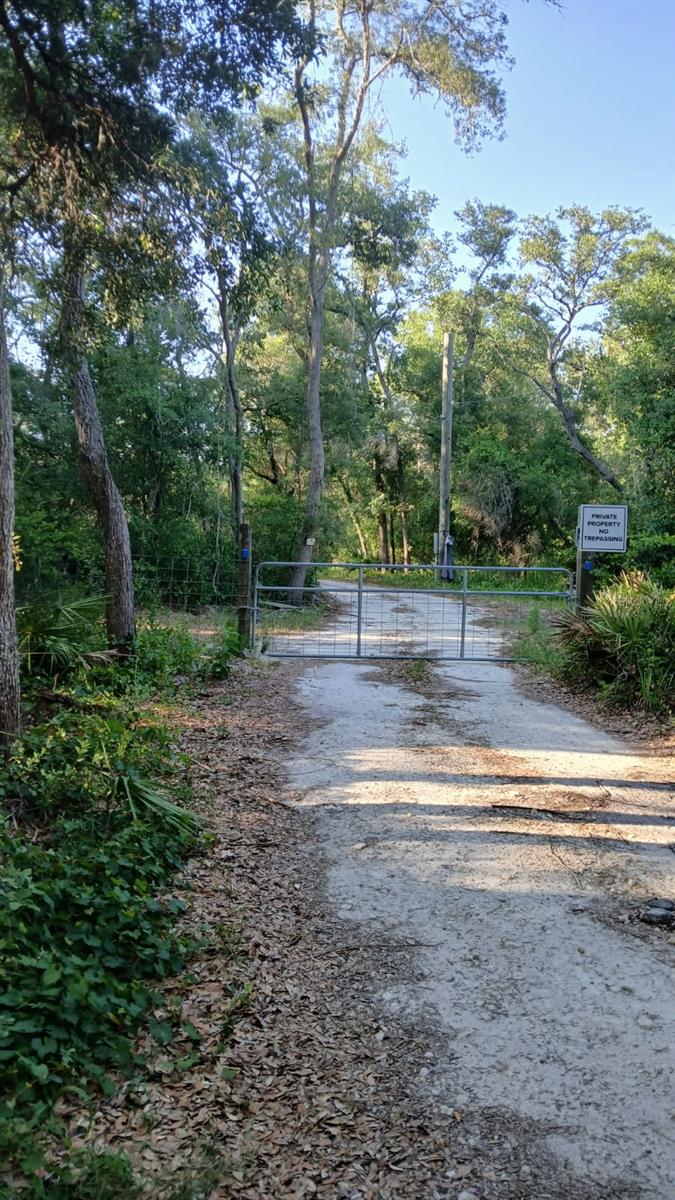 KAL RIVER FOREST - Land