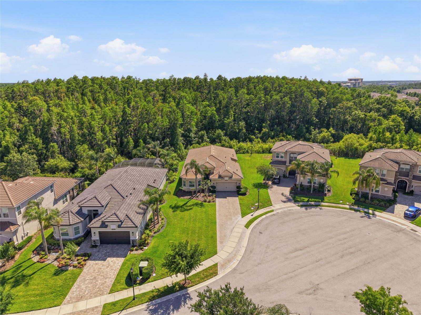 30852 SPRUCEBERRY COURT