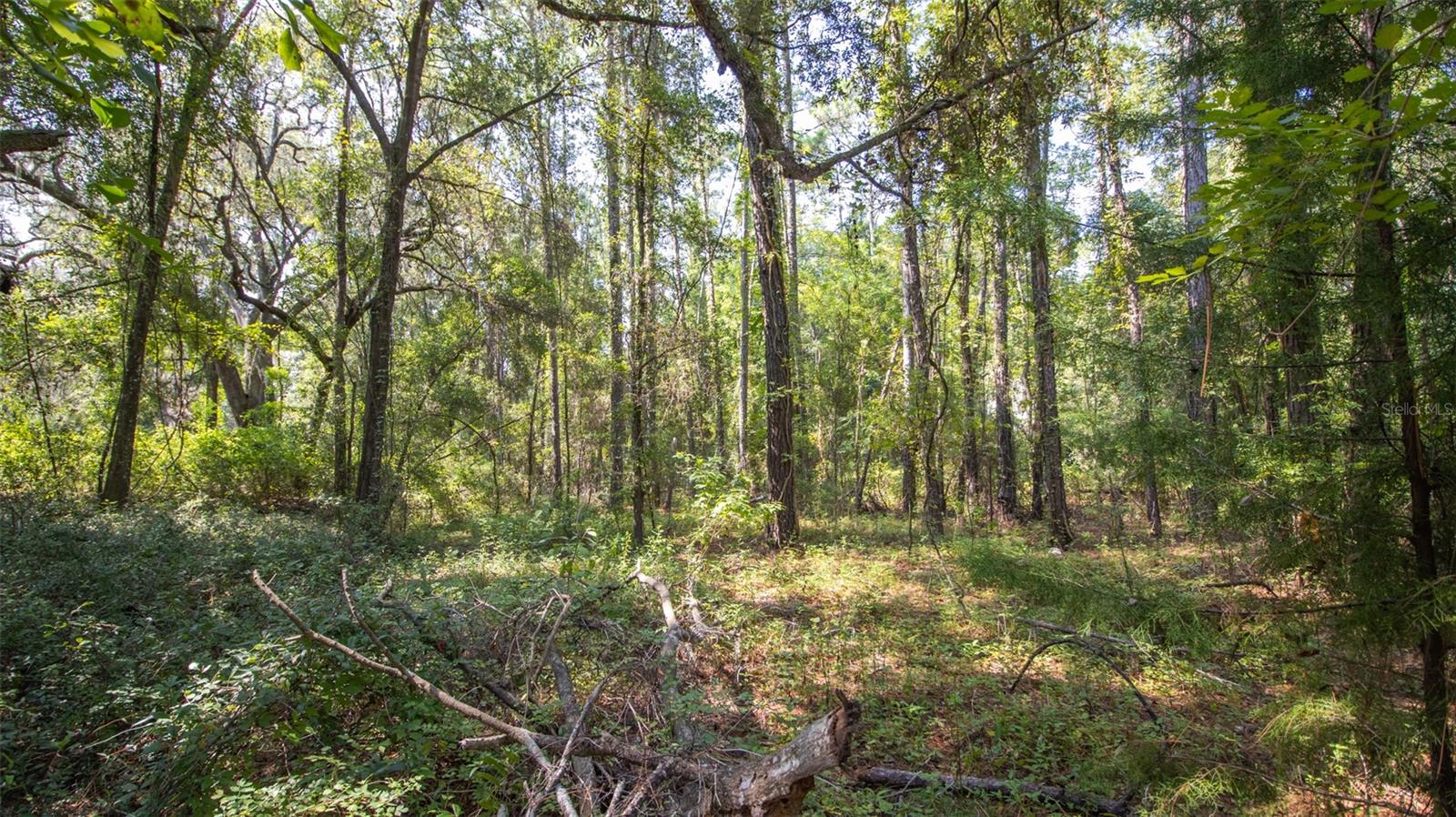 ASHLEY LAKE PLANTATION - Land