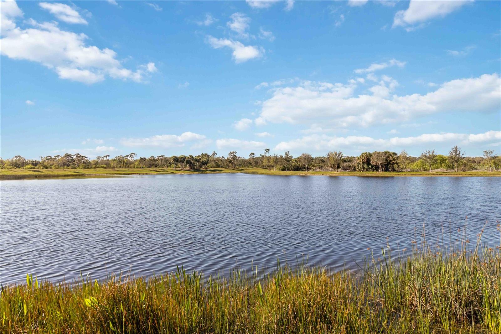 SARASOTA NATIONAL - Residential