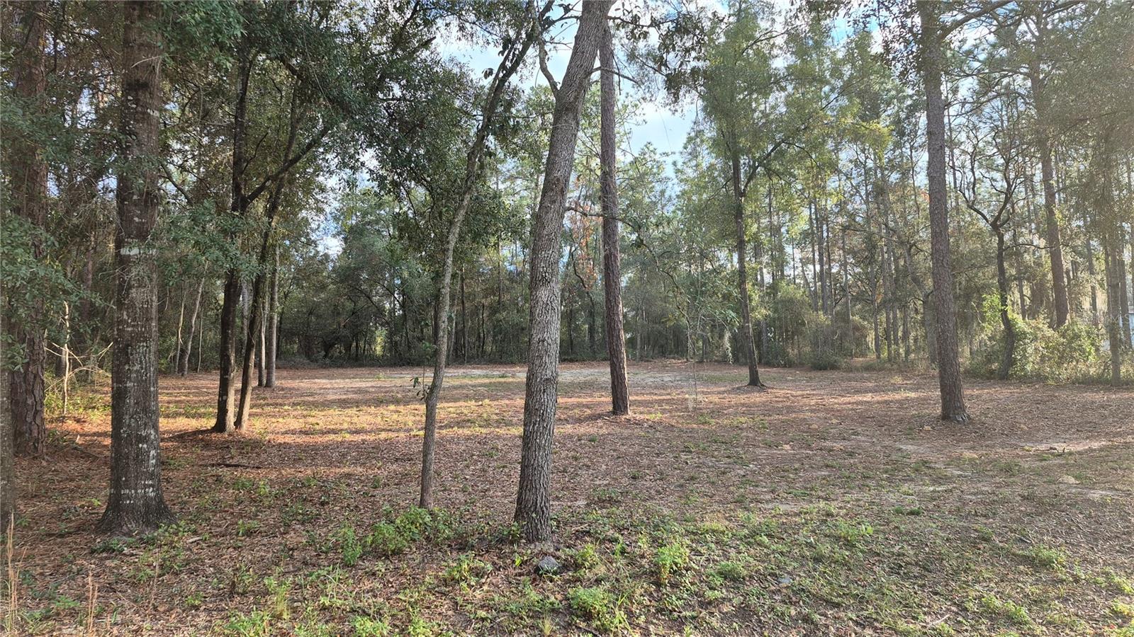 HIGHRIDGE ESTATE - Land