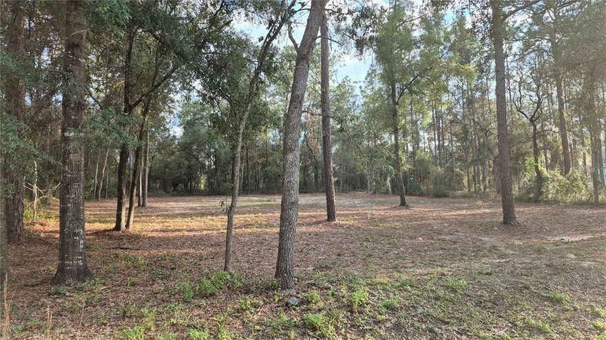 Build your dream home on this beautiful 0.35-acre vacant lot featuring peaceful lake views and a serene natural setting. The property is conveniently cleared and ready for construction, saving you time and preparation costs. Enjoy the perfect balance of privacy and openness while designing a custom home tailored to your lifestyle.  Don’t miss your chance to create the home you’ve always imagined with scenic views right outside your door. Recent survey on file.