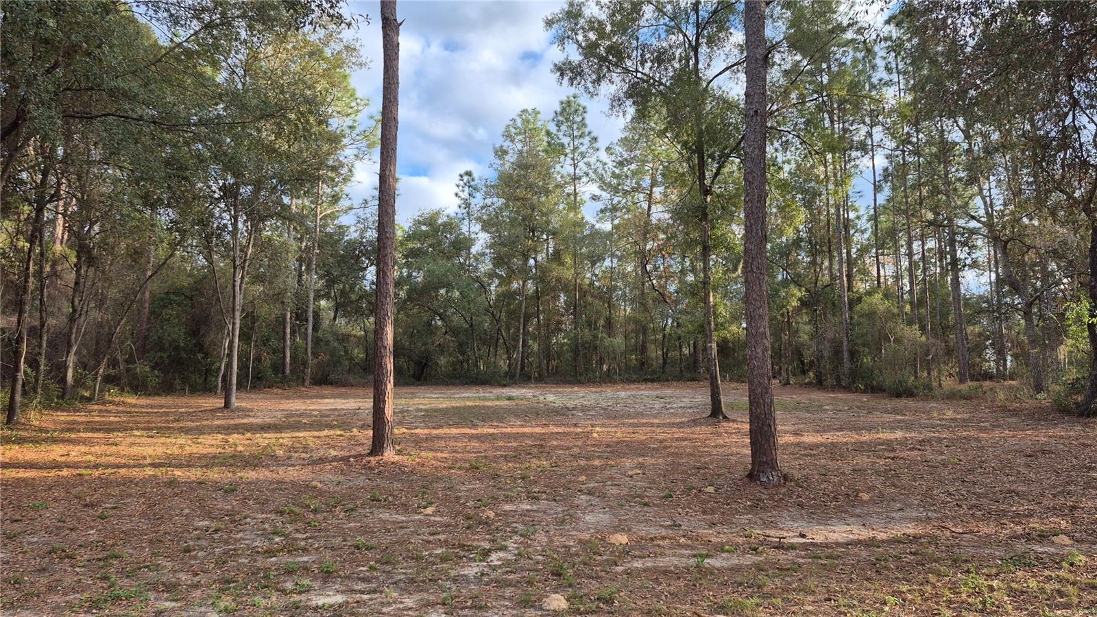 HIGHRIDGE ESTATE - Land