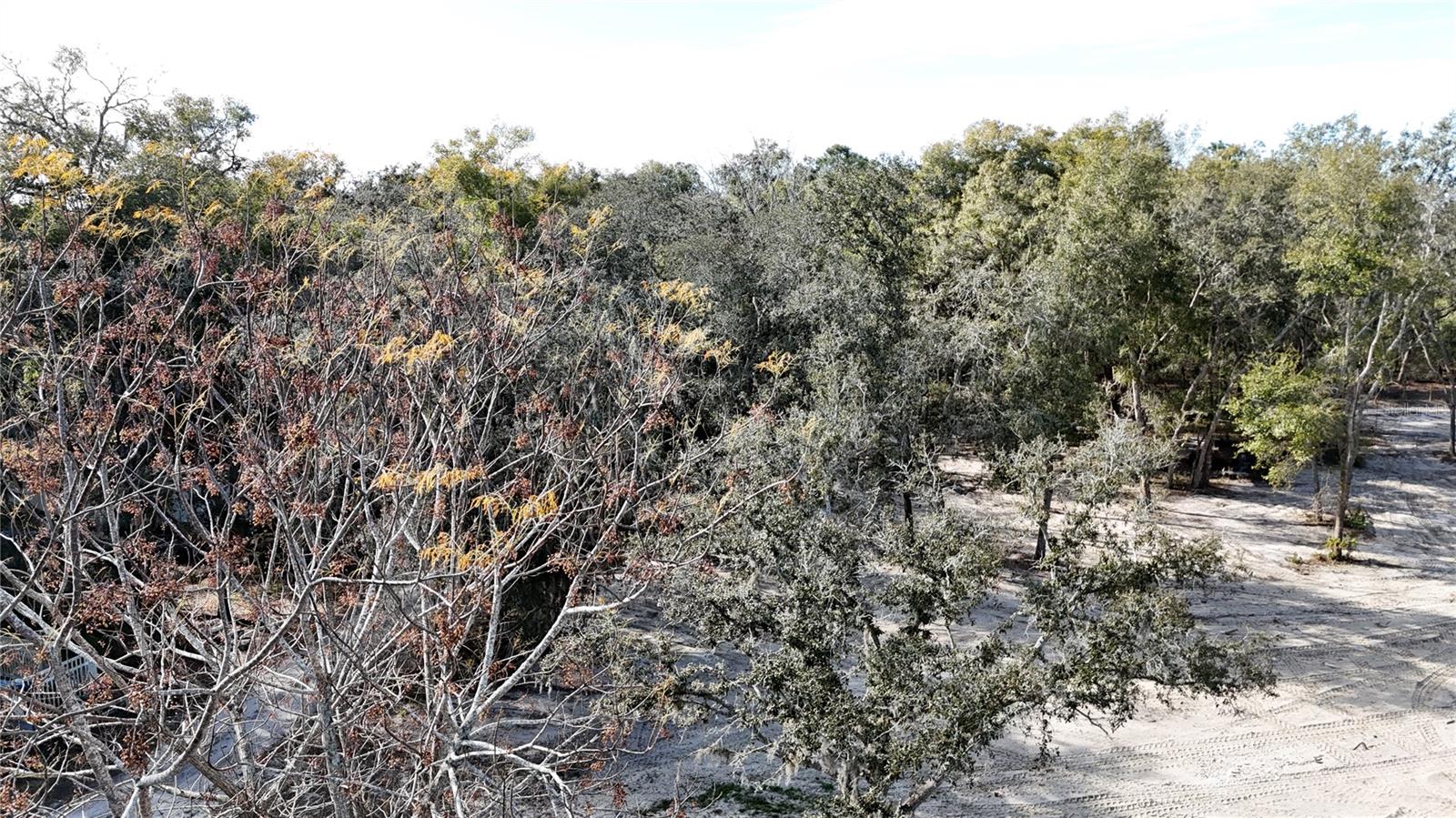 SHERWOOD FOREST UNREC - Land