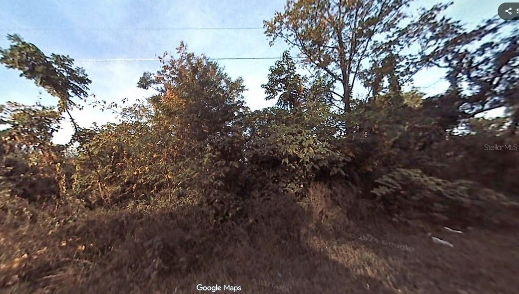Photo of 1302 S Delaware Avenue, Deland, FL 32720 (MLS # O6352120)