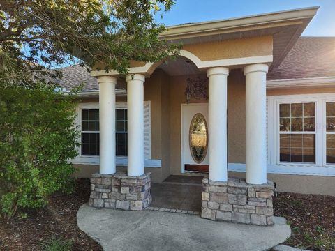 A home in BELLEVIEW