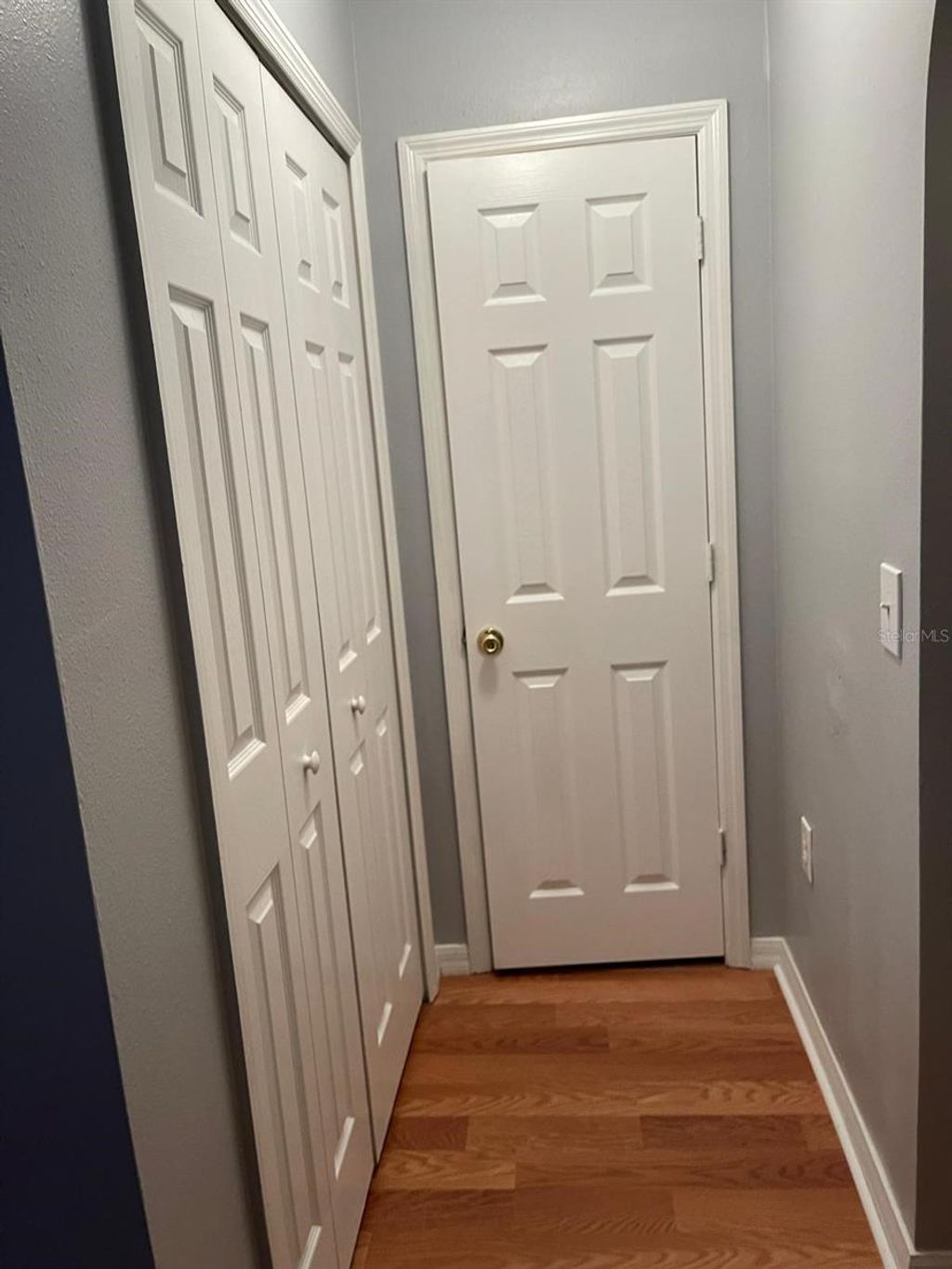 Photo of 30404 Pongo Way, Wesley Chapel, FL 33545 (MLS # S5138397)