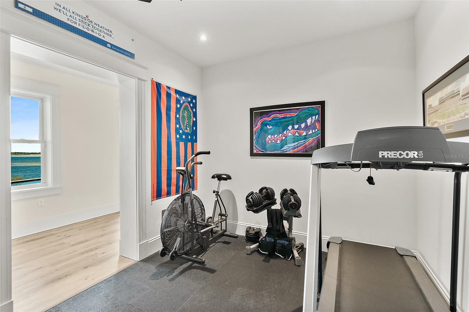 BARRATARIA ISLAND - Residential