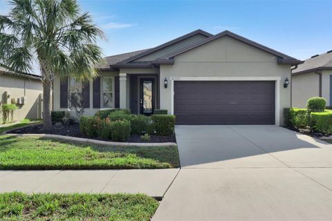16321 TREASURE POINT DRIVE WIMAUMA FL 33598