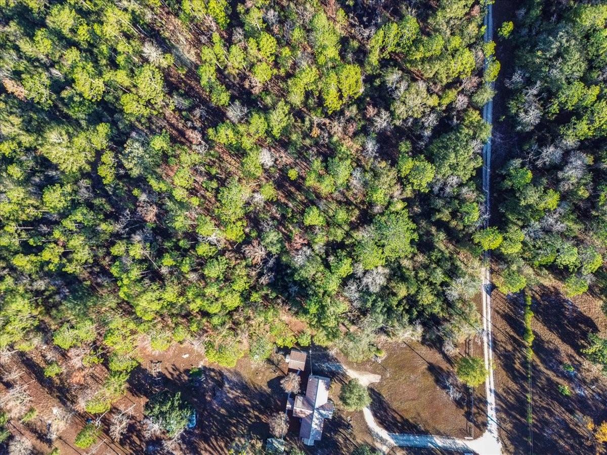 SUWANNEE VLY ESTATES SUB - Land