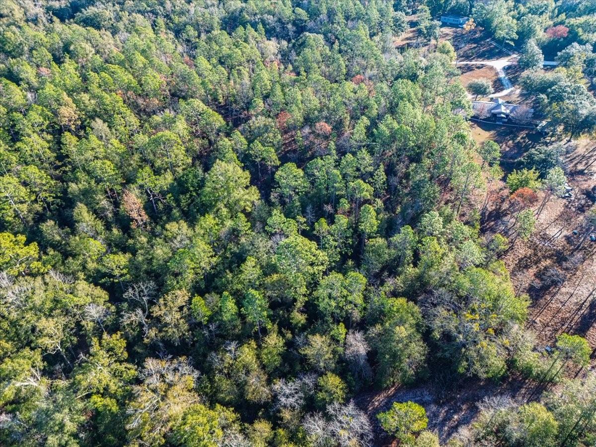 SUWANNEE VLY ESTATES SUB - Land