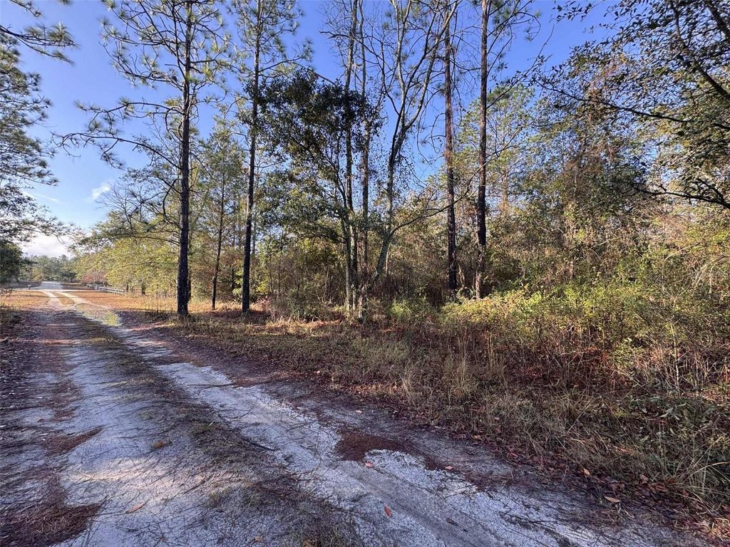 Photo of 103rd Drive, OBrien, FL 32071 (MLS # GC536129)