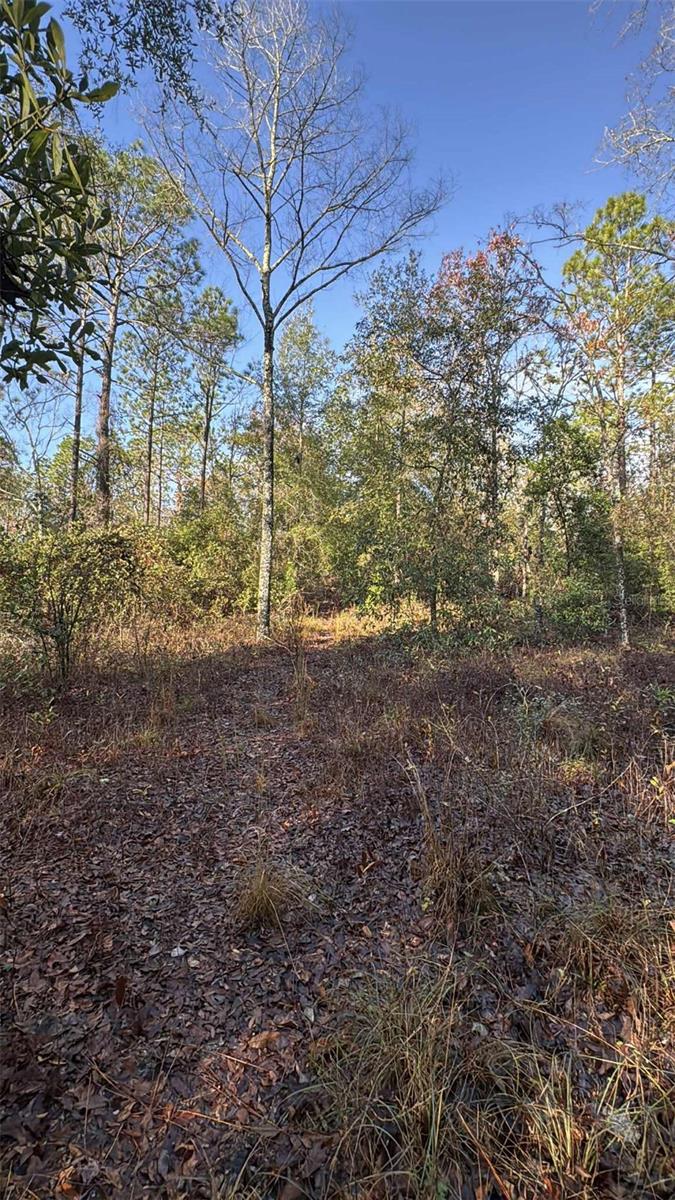 SUWANNEE VLY ESTATES SUB - Land