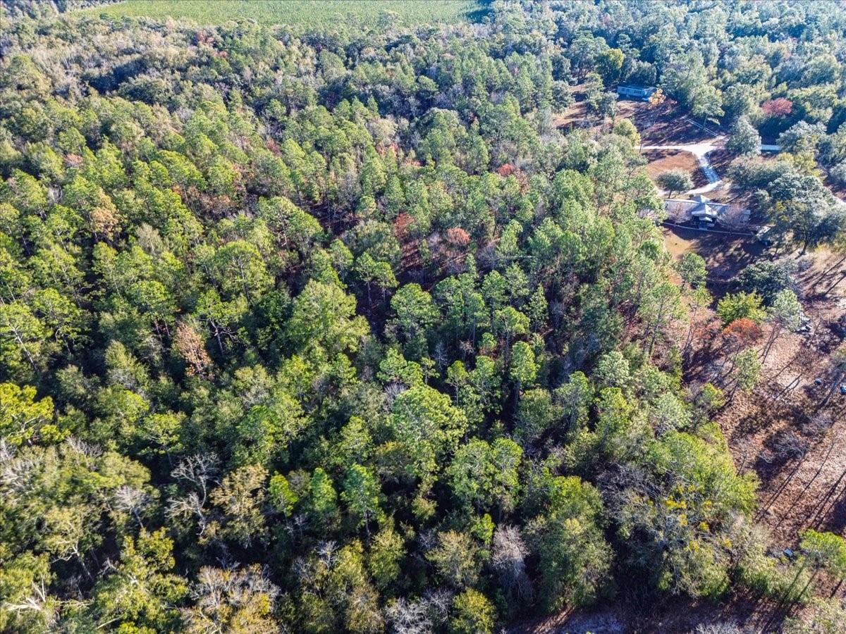 SUWANNEE VLY ESTATES SUB - Land