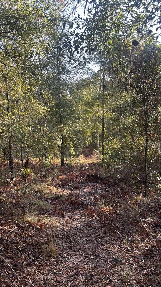 SUWANNEE VLY ESTATES SUB - Land