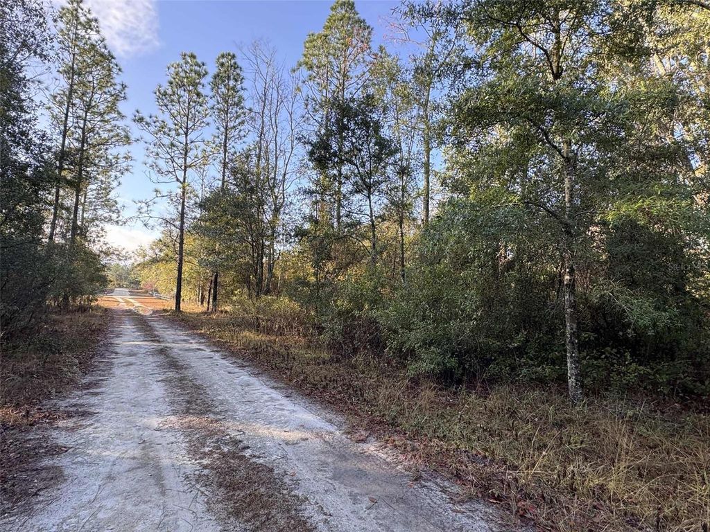 Photo of 103rd Drive, OBrien, FL 32071 (MLS # GC536129)