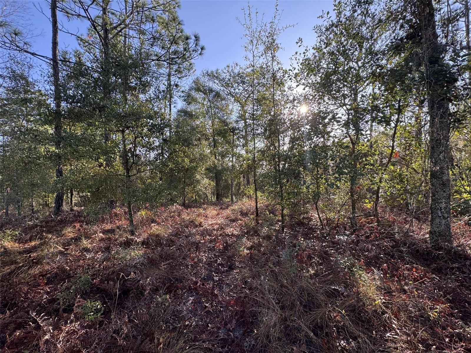 SUWANNEE VLY ESTATES SUB - Land