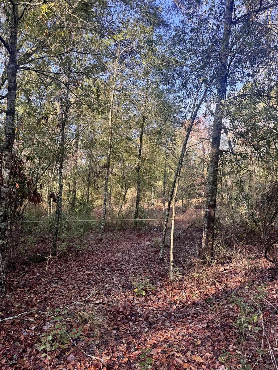 SUWANNEE VLY ESTATES SUB - Land