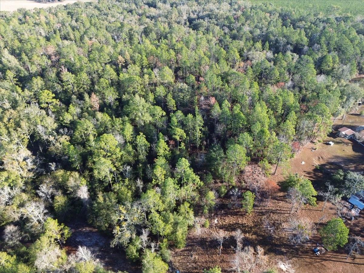 SUWANNEE VLY ESTATES SUB - Land