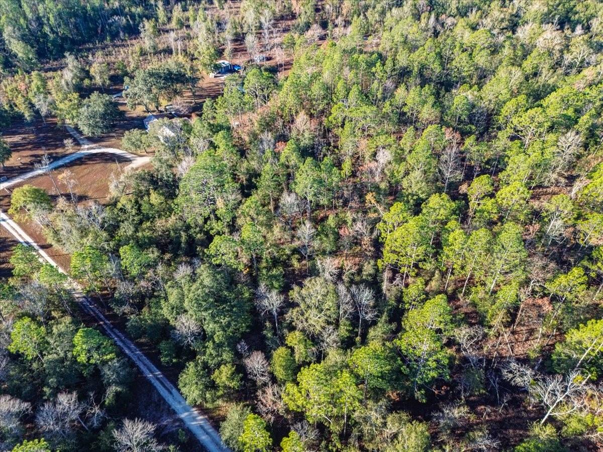 SUWANNEE VLY ESTATES SUB - Land