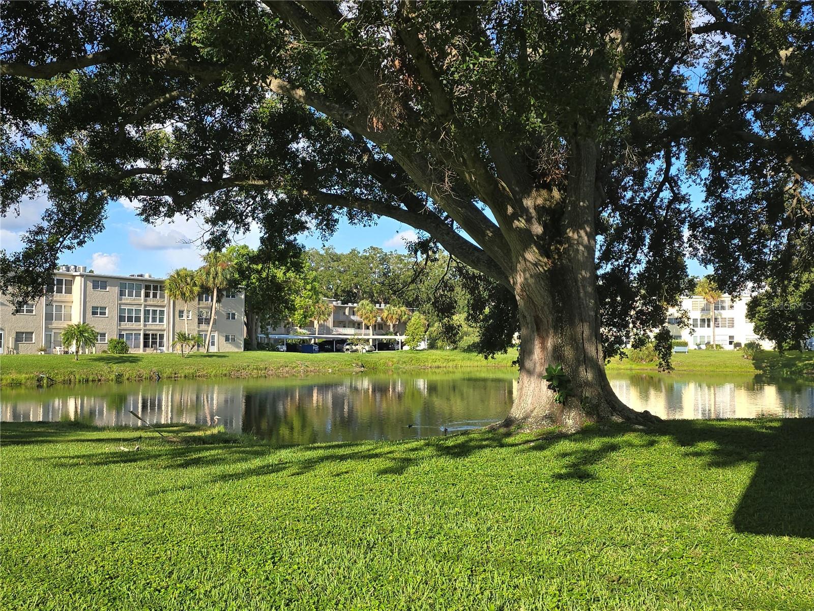 HEATHER HILL APTS - Residential Lease