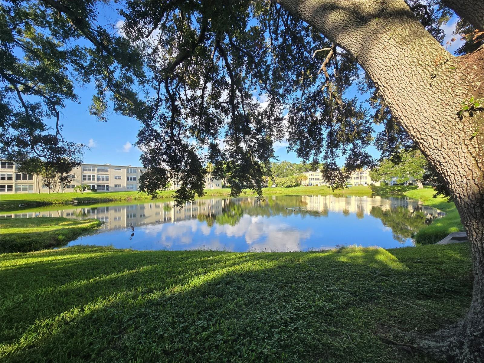 HEATHER HILL APTS - Residential Lease