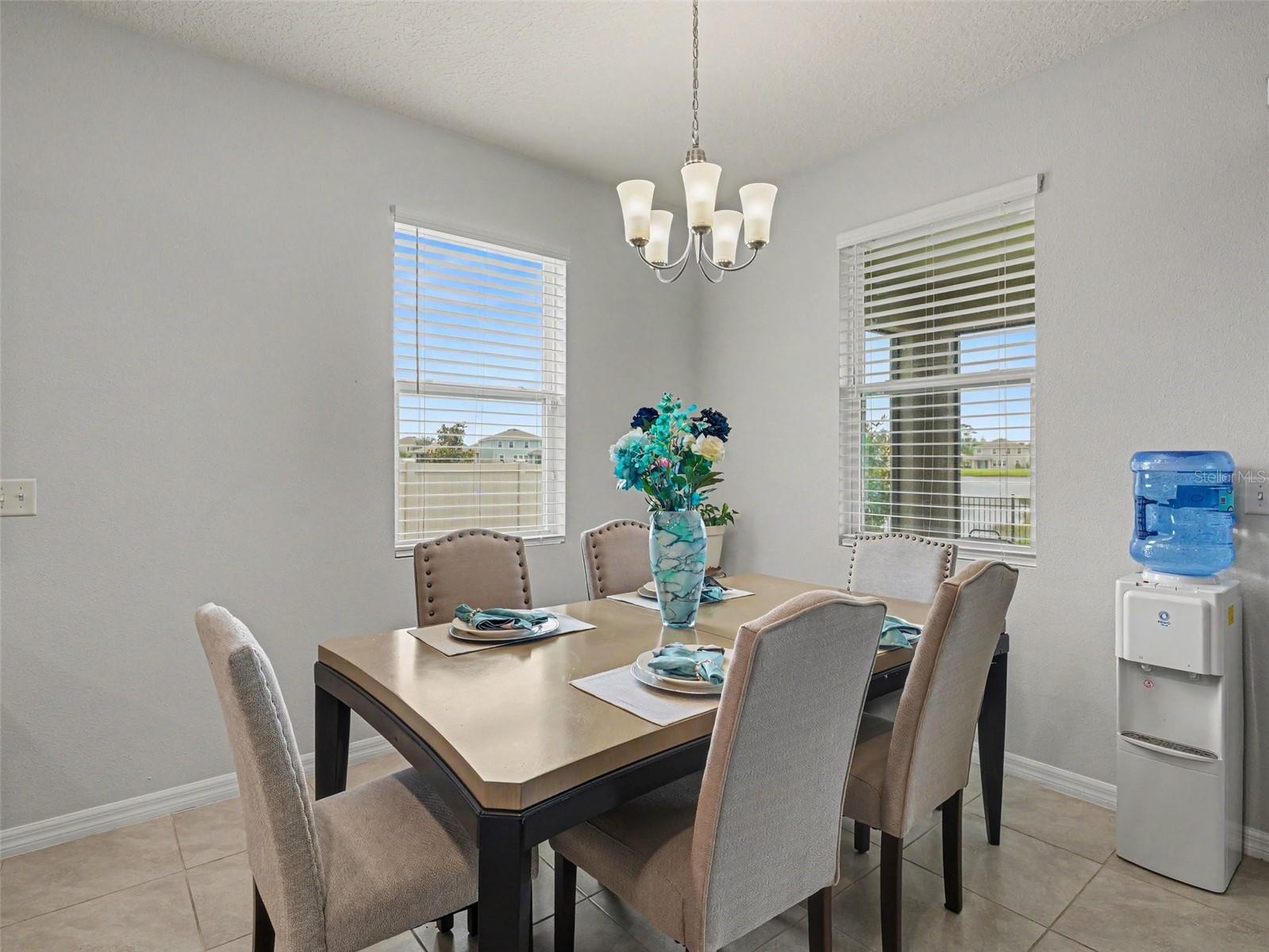 16639 GOOSE RIBBON PLACE