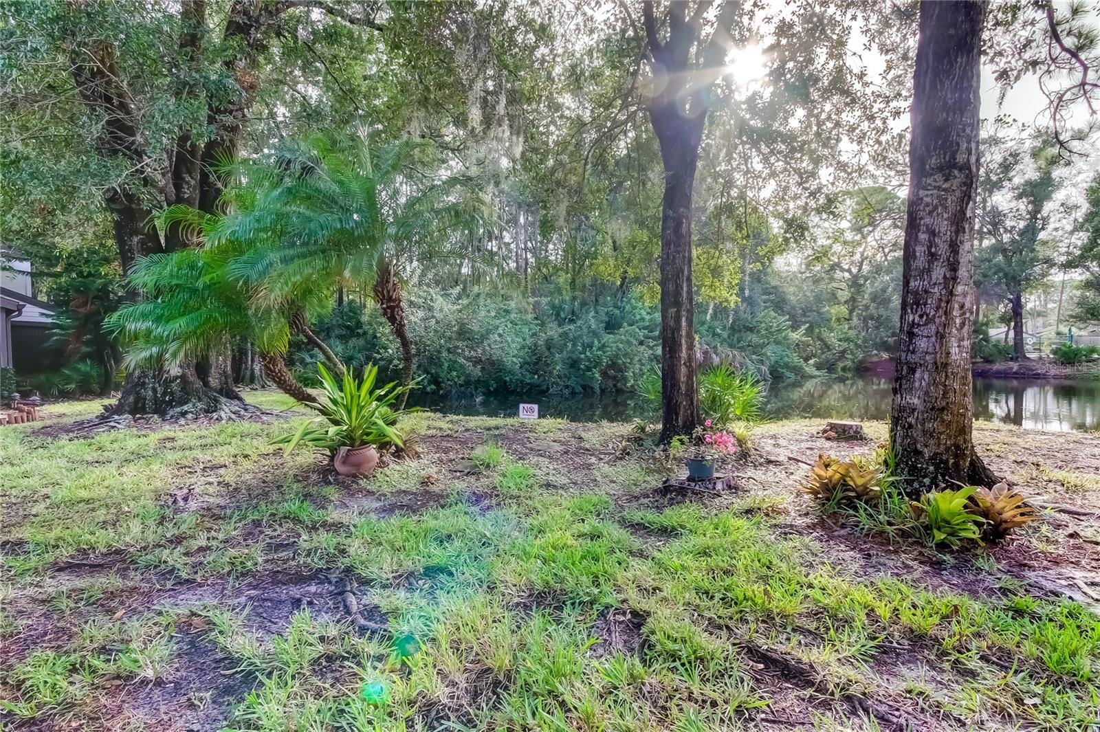 EAST LAKE WOODLANDS WOODS LANDING TWNHMS - Residential