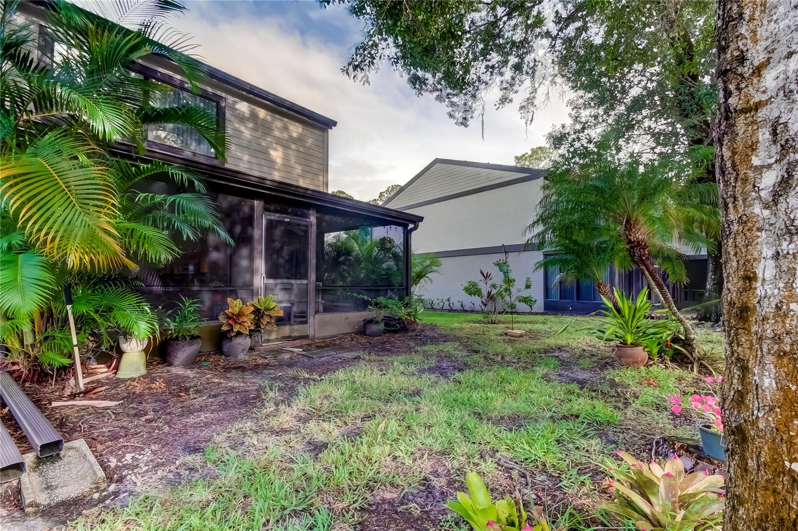 EAST LAKE WOODLANDS WOODS LANDING TWNHMS - Residential