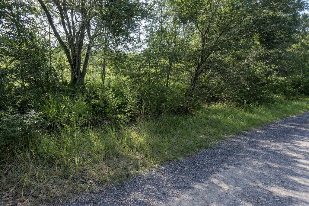 Photo of 0 Olsen Street, New Port Richey, FL 34654 (MLS # TB8480798)