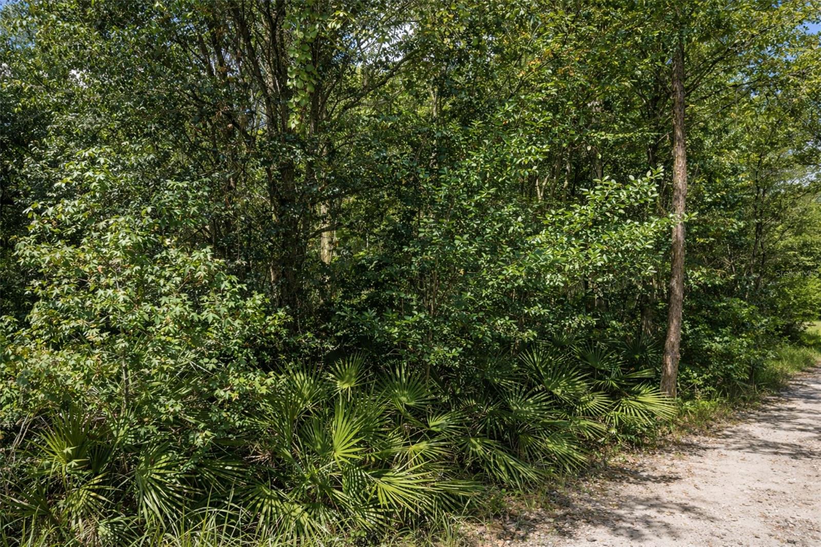 MOON LAKE ESTATES UN 7 - Land