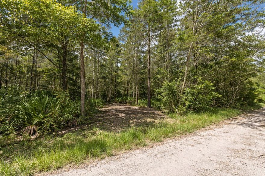 Seller Financing Available!  Get more for your money with this solid 1.25-acre parcel that gives you space to work with and real flexibility. Land like this opens the door to a lot of possibilities—build, hold, or use it the way that fits your plans. Set in a quiet area, it offers the privacy you want without being too far from town, shopping, and main roads. No HOA and no CDD fees means no extra rules, no extra costs—just your land, your way. Opportunities like this don’t come around often—this won’t last long.