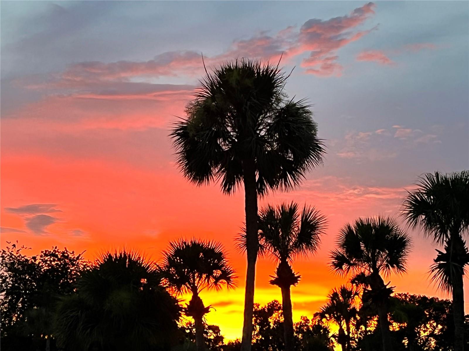 VENTURA RESERVE PH 01 - Residential