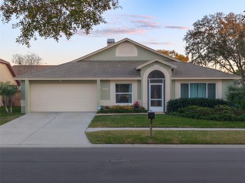 1510 STORINGTON AVENUE BRANDON FL 33511