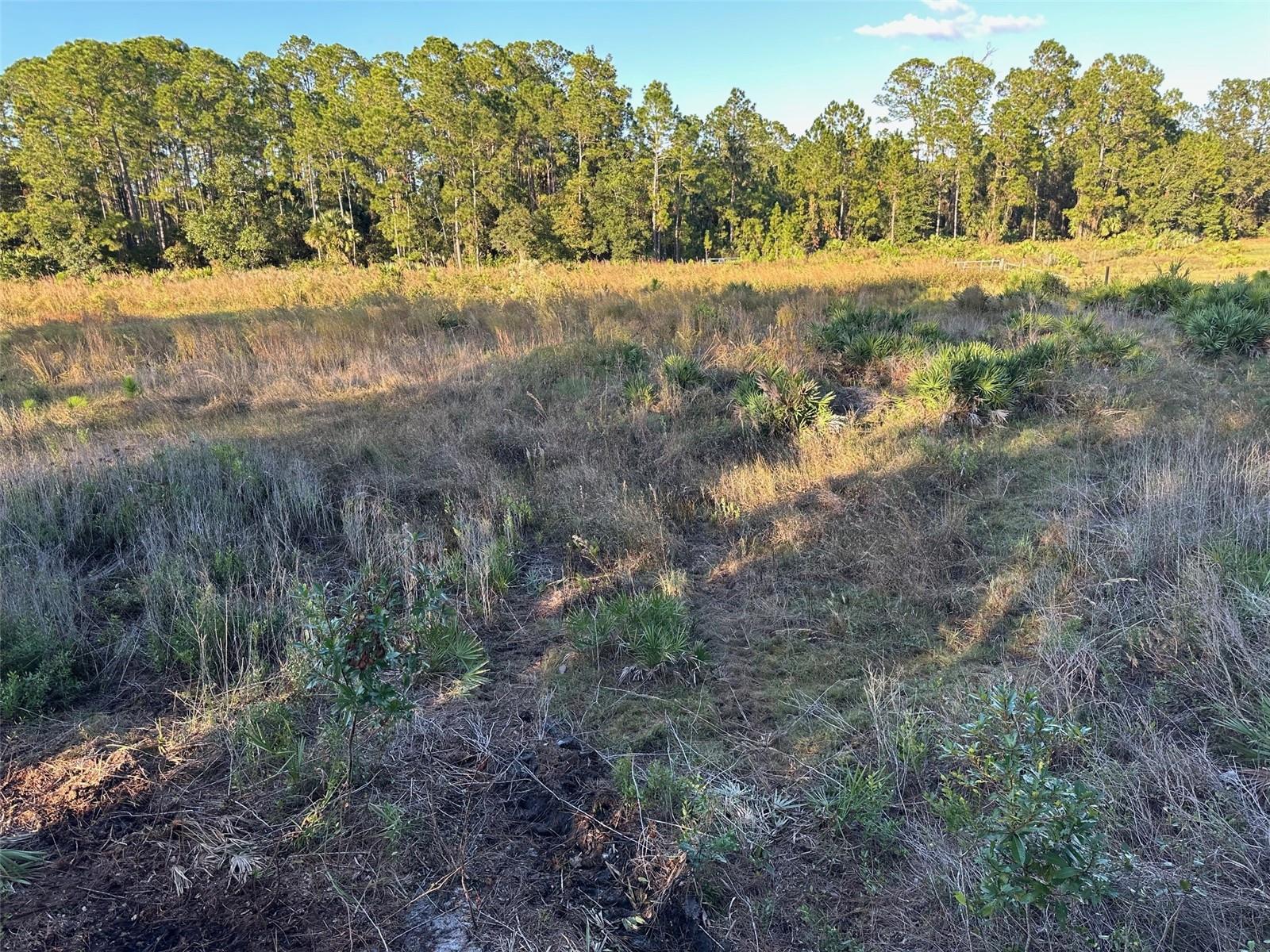 ACREAGE & UNREC - Land