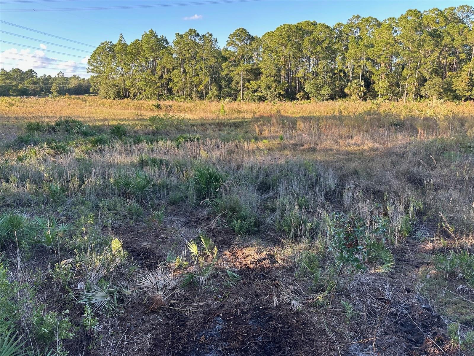 ACREAGE & UNREC - Land