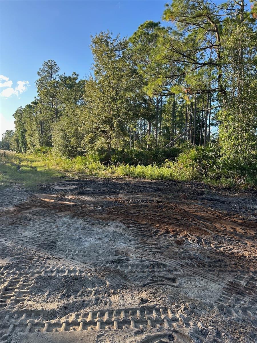 ACREAGE & UNREC - Land