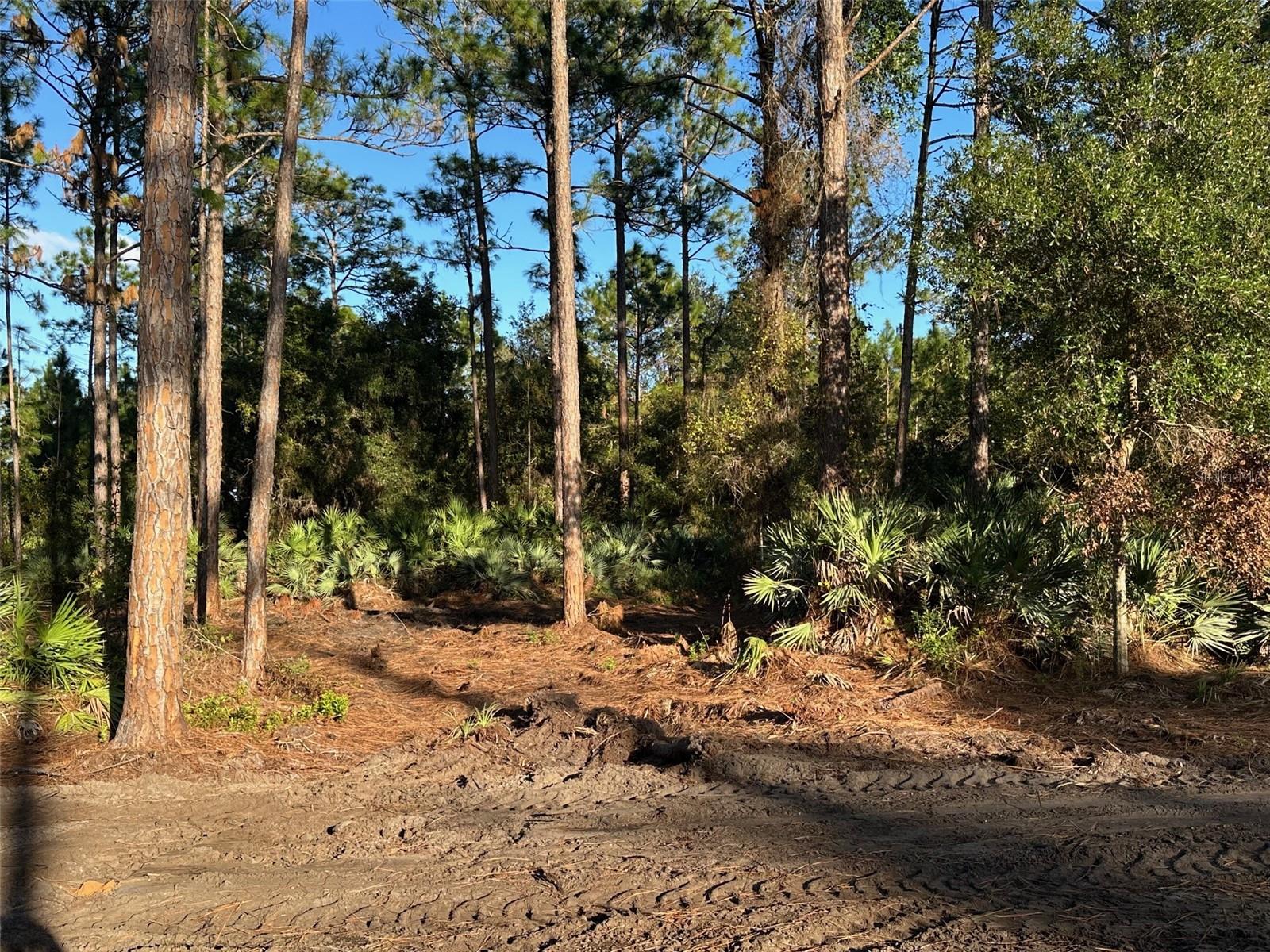 ACREAGE & UNREC - Land