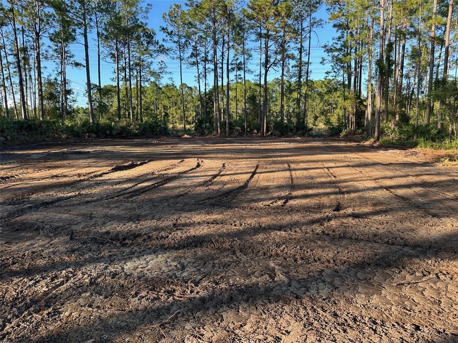 ACREAGE & UNREC - Land