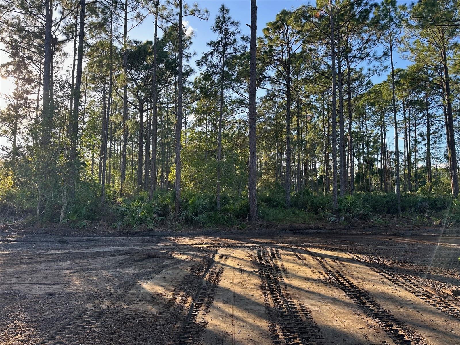 ACREAGE & UNREC - Land