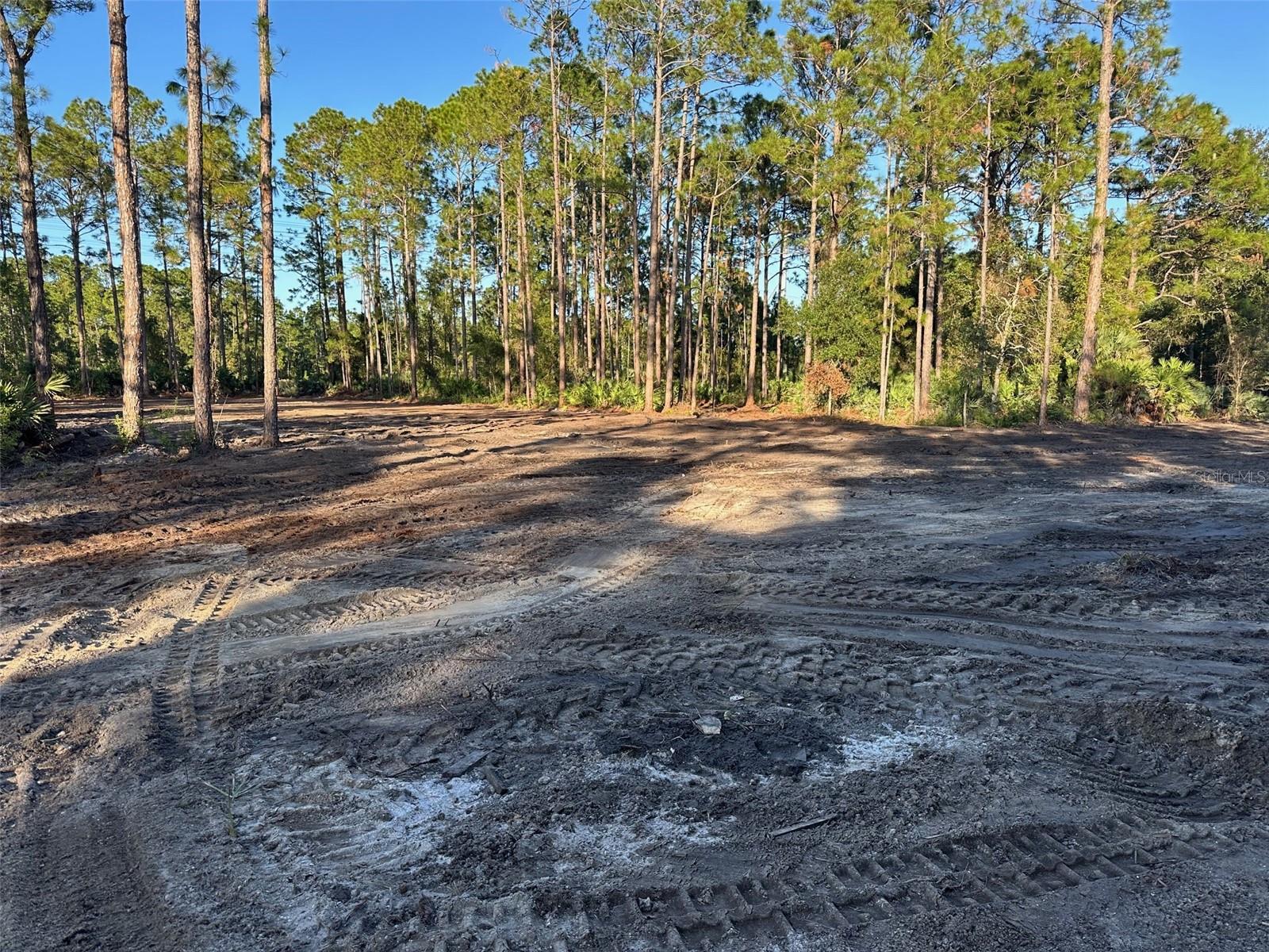 ACREAGE & UNREC - Land