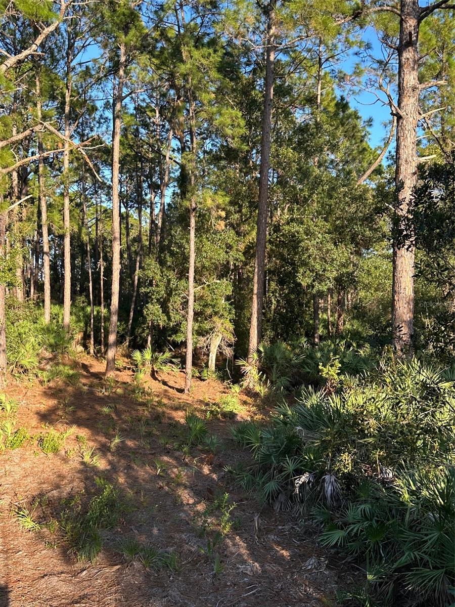 ACREAGE & UNREC - Land