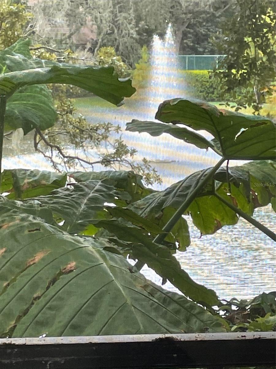 WHISPERING WOODS - Residential Lease