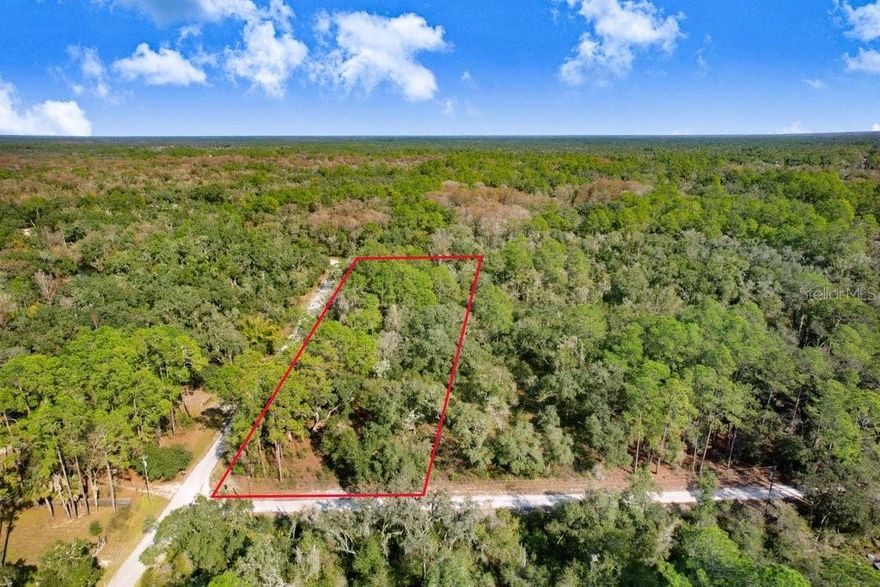 Discover this peaceful 1.06-acre parcel in Ridge Manor Estates, an ideal location for your future custom home or investment. The wooded setting features mature trees that create natural privacy and a serene backdrop. Enjoy the outdoor lifestyle this area is known for, with nearby nature trails, rolling country views, and quick access to I-75. Residents also benefit from close proximity to Ridge Manor Community Park, offering ball fields, basketball courts, playgrounds, walking paths, pavilions, picnic areas, and open play spaces. With minimal deed restrictions, this community provides plenty of flexibility for outdoor equipment, travel trailers, and recreational toys. Conveniently located just minutes from shopping, dining, and major highways, this property offers both seclusion and accessibility. Site-built homes only. Come explore this tranquil lot in Ridge Manor Estates—so many possibilities await.